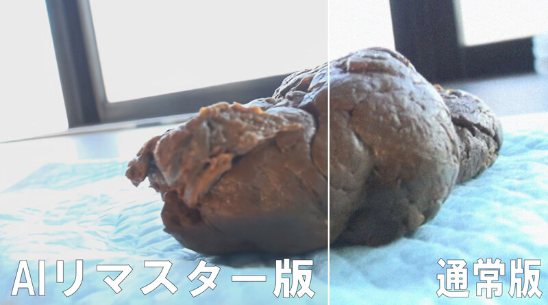 見てください!この迫力のうんこ!!これはスレンダー美女が出したうんこですよ!!